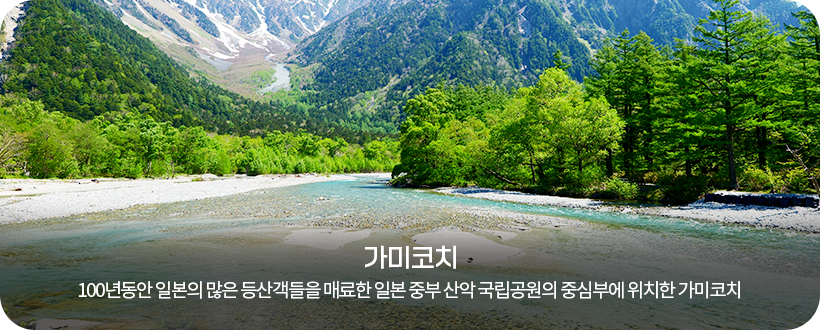 가마코치